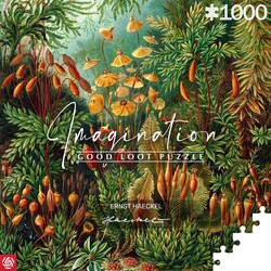 Játék Imagination: Ernst Haeckel Muscinae 1000 darabos puzzle