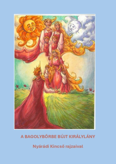 Könyv A bagolybőrbe bújt királylány (Varsányi József)