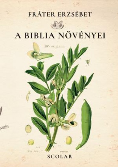 Könyv A Biblia növényei (Fráter Erzsébet)