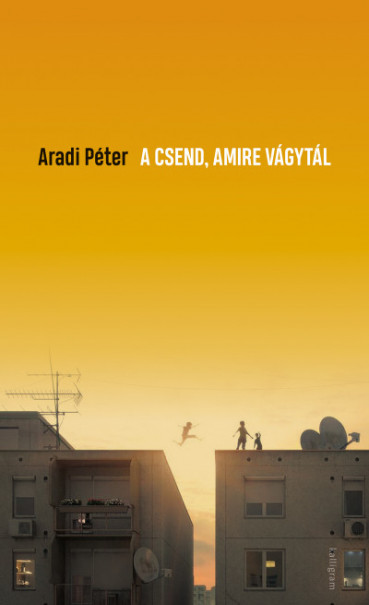 Könyv A csend, amire vágytál (Aradi Péter)