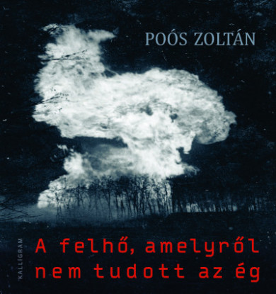 Könyv A felhő, amelyről nem tudott az ég (Poós Zoltán)