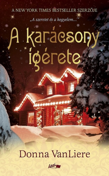 Könyv A karácsony ígérete (Donna VanLiere)
