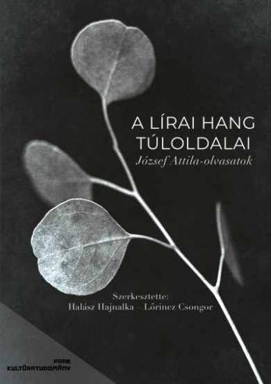 Könyv A lírai hang túloldalai