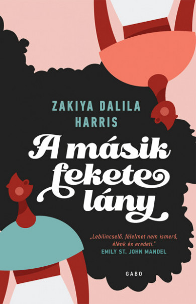 Könyv A másik fekete lány (Zakiya Dalila Harris)