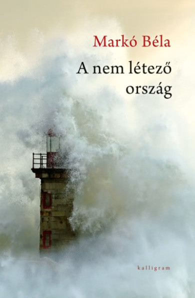 Könyv A nem létező ország (Markó Béla)