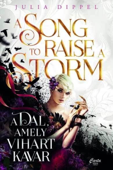 Könyv A Song to Raise a Storm - A dal, amely vihart kavar (Julia Dippel)