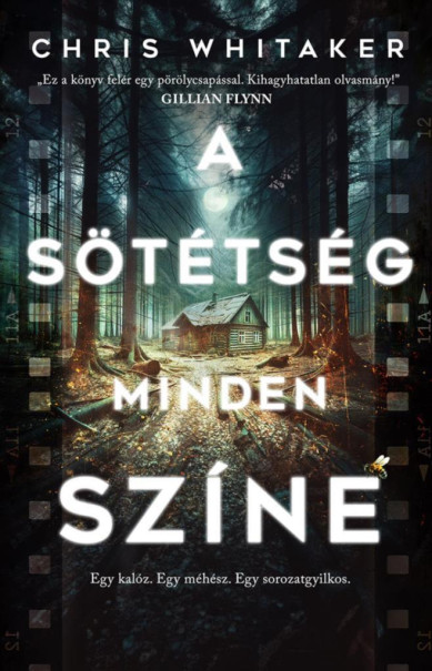 Könyv A sötétség minden színe (Chris Whitaker)