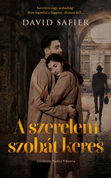 Könyv A szerelem szobát keres (David Safier)