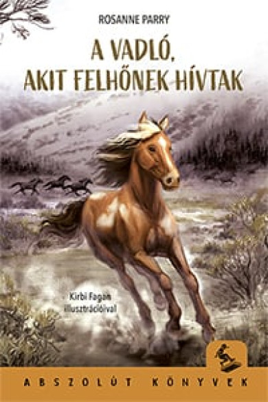 Könyv A vadló, akit Felhőnek hívtak (Rosanne Parry)