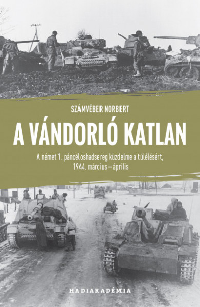 Könyv A vándorló katlan (Számvéber Norbert)