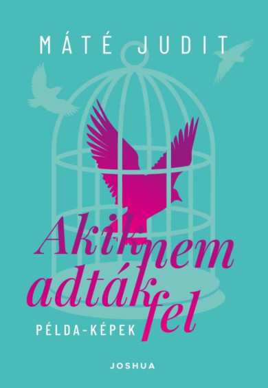 Könyv Akik nem adták fel - Példa-képek (Máté Judit)