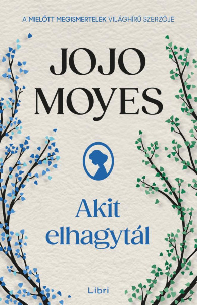 Könyv Akit elhagytál (Jojo Moyes)