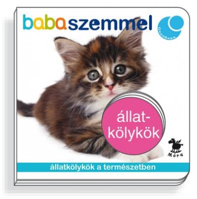 Könyv Állatkölykök