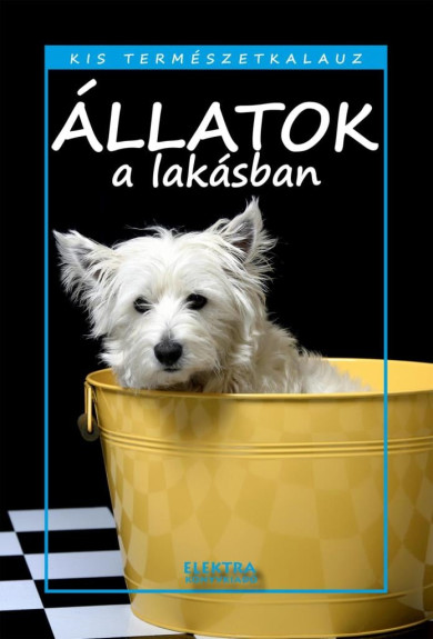 Könyv Állatok a lakásban (Bernáth István)