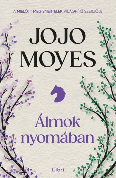 Könyv Álmok nyomában (Jojo Moyes)
