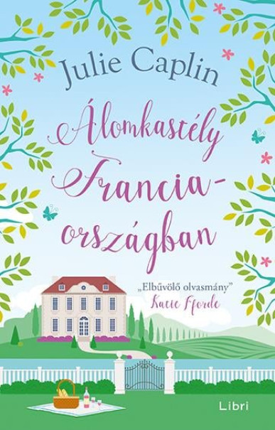 Könyv Álomkastély Franciaországban (Julie Caplin)
