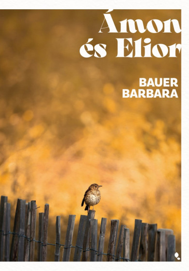 Könyv Ámon és Elior (Bauer Barbara)