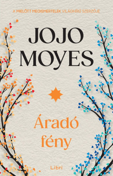 Könyv Áradó fény (Jojo Moyes)