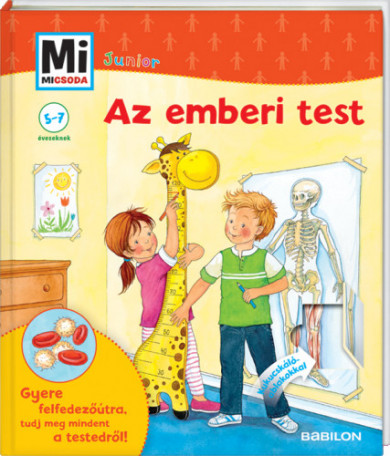 Könyv Arányok atlasza (Clive Gifford)