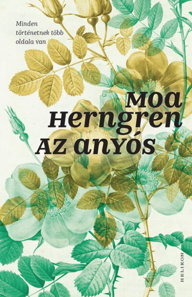 Könyv Az anyós (Moa Herngren)