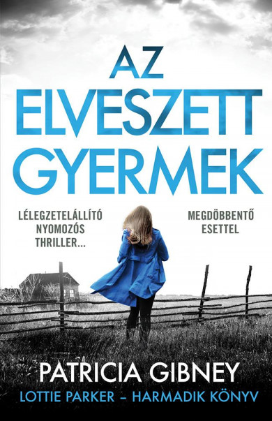 Könyv Az elveszett gyermek (Patricia Gibney)