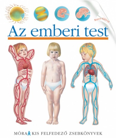 Könyv Az emberi test