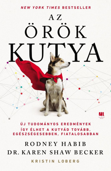 Könyv Az örök kutya (Karen Becker)