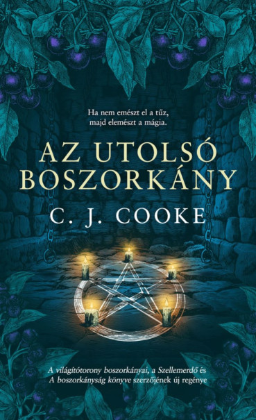 Könyv Az utolsó boszorkány (C. J. Cooke)