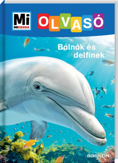 Könyv Bálnák és delfinek - Mi Micsoda Olvasó (Christina Braun)