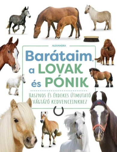 Könyv Barátaim, a lovak és pónik