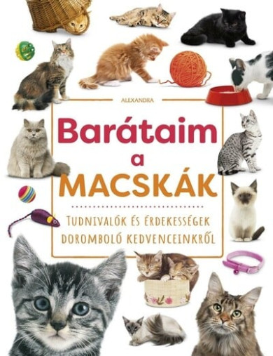 Könyv Barátaim, a macskák