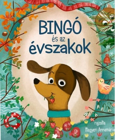 Könyv Bingó és az évszakok (Ughy Szabina)