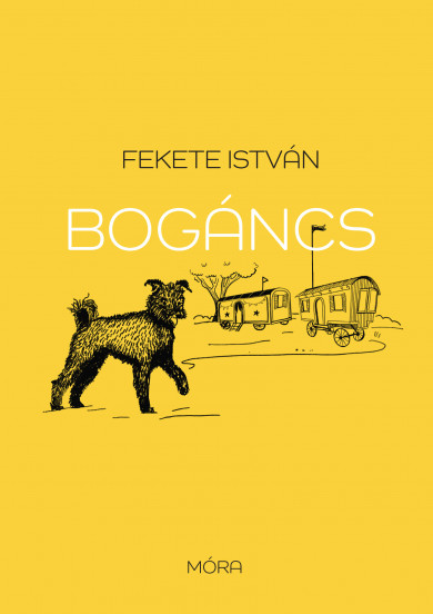 Könyv Bogáncs (Fekete István)