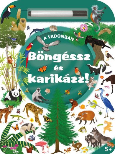 Könyv Böngéssz és karikázz! - A vadonban