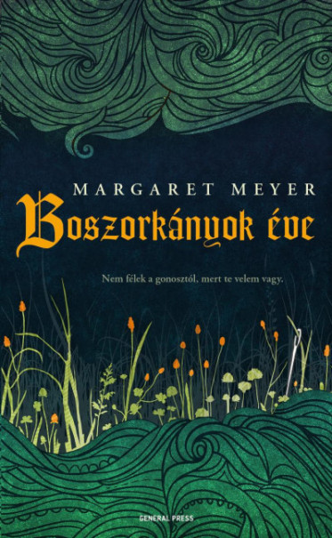 Könyv Boszorkányok éve (Margaret Meyer)
