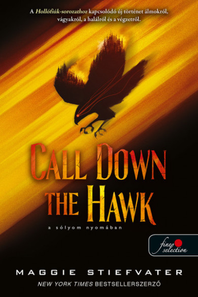 Könyv Call Down the Hawk - A sólyom Nyomában (Maggie Stiefvater)