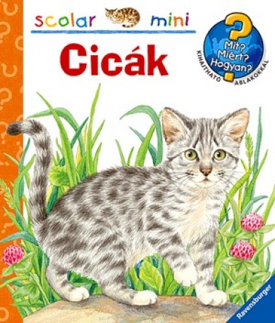 Könyv Cicák (Patricia Mennen)