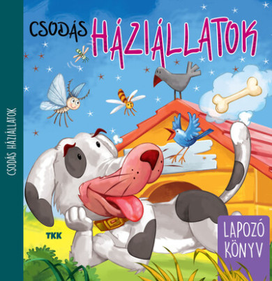 Könyv Csodás háziállatok