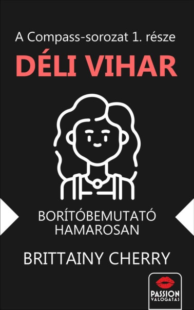 Könyv Déli vihar (Brittainy Cherry)