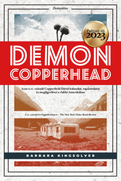 Könyv Demon Copperhead (Barbara Kingsolver)