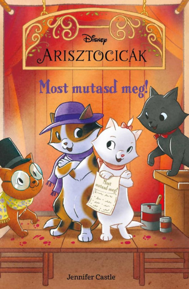 Könyv Disney Arisztocicák - Most mutasd meg!