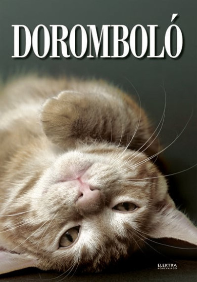 Könyv Doromboló (Bernáth István)