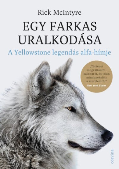 Könyv Egy farkas uralkodása - A Yellowstone legendás alfa-hímje (Rick McInty