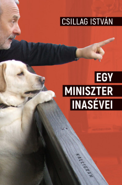 Könyv Egy miniszter inasévei (Csillag István)