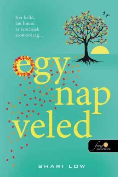 Könyv Egy nap veled (Shari Low)