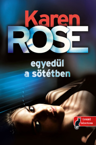 Könyv Egyedül a sötétben (Karen Rose)