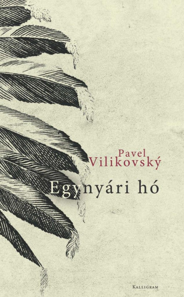 Könyv Egynyári hó (Pavel Vilikovsk)