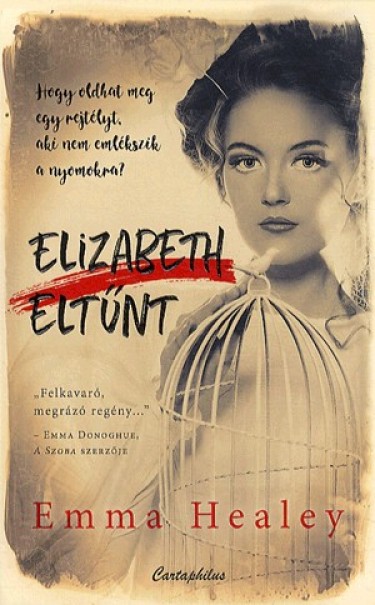 Könyv Elizabeth eltűnt (Elizabeth Healey)