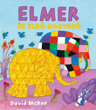 Könyv Elmer és Eldó nagyapó (David McKee)