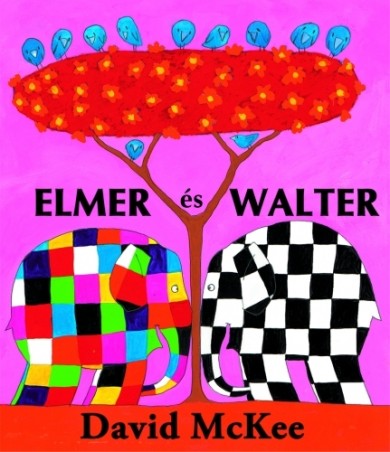 Könyv Elmer és Walter (David McKee)